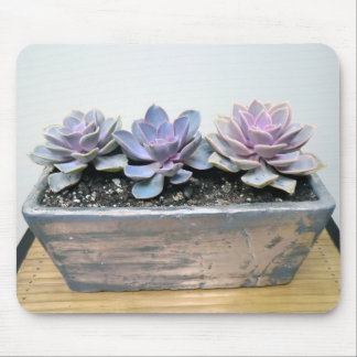 Mousepad Succulent na prata