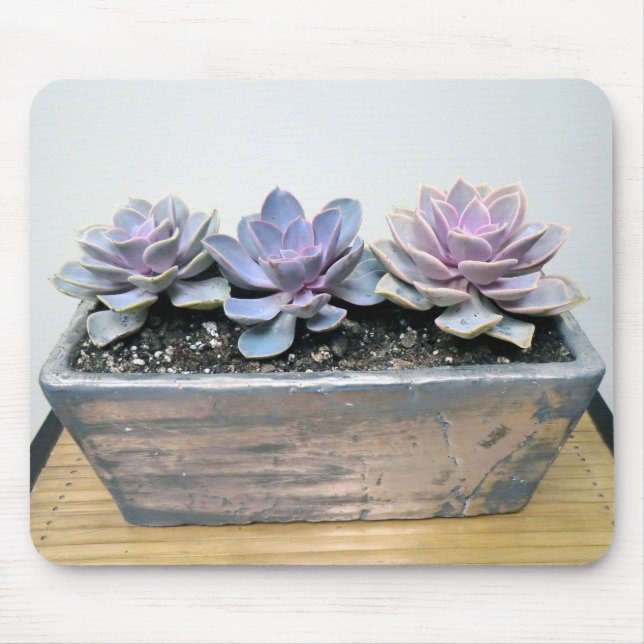 Mousepad Succulent na prata (Frente)