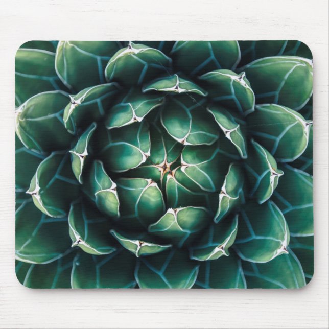 Mousepad Succulent verde & branco (Frente)