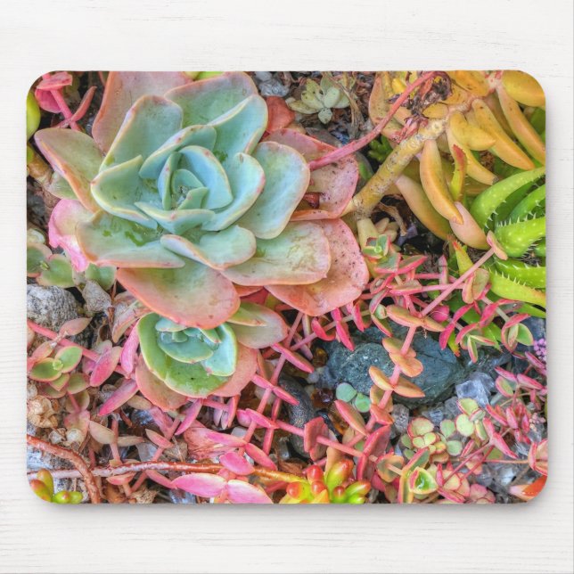 Mousepad Succulents (Frente)