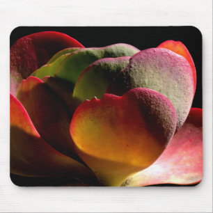 Mousepad Succult Desert Plant