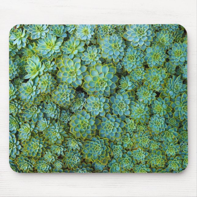 Mousepad Succults - Echeveria (Frente)