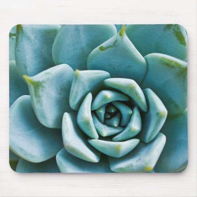 Mousepad Suculenta (Frente)