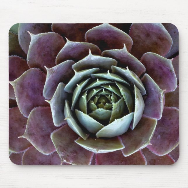 Mousepad Suculenta Roxa Close-Up (Frente)