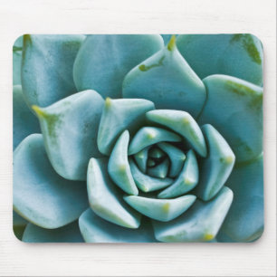 Mousepad Suculente
