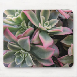 Mousepad Suculente