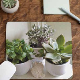 Mousepad Suculentos em branco com concha