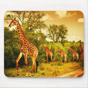 Mousepad Sul - girafas africanos