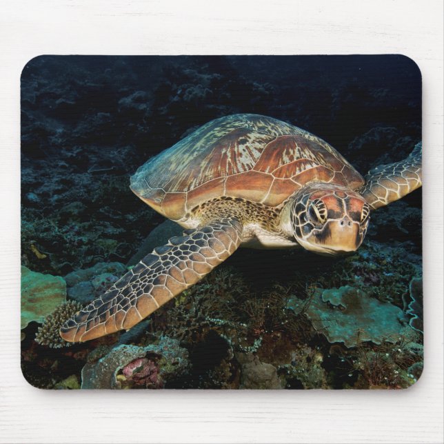 Mousepad Sulawesi | Tartaruga Marinha Verde (Frente)