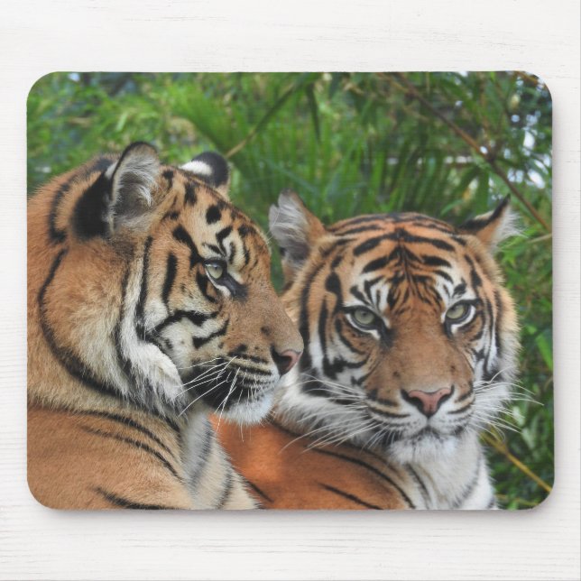 Mousepad Sumatran Tigers (Frente)