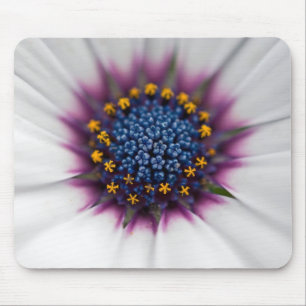 Mousepad Summer Daisy Close Up