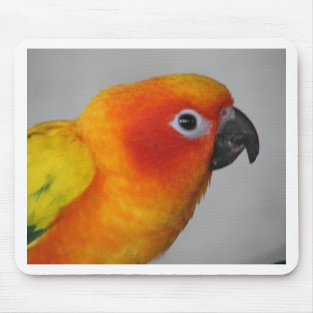 Mousepad Sun Conure (Frente)