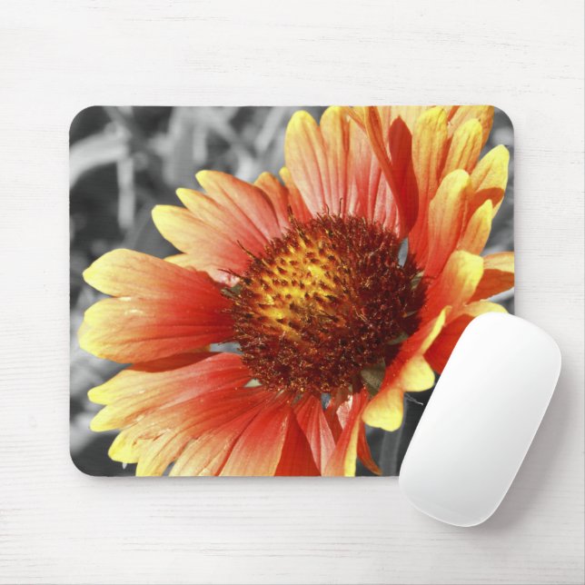 Mousepad Sun Drened Gaillardia (Com mouse)