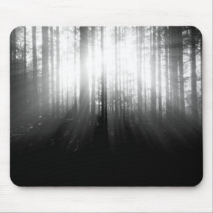 Mousepad Sun que brilha através das árvores na floresta