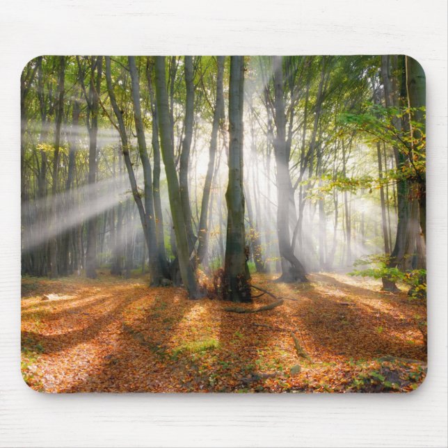 Mousepad Sunbeams em uma floresta de faia nebulosa no outon (Frente)
