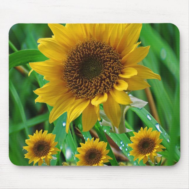 Mousepad Sunflower (Frente)