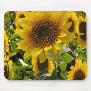 Mousepad Sunflower