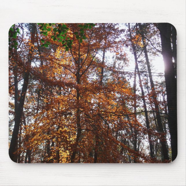 Mousepad Sunlight Through Fall Tree (Ponta de Sol por Queda (Frente)