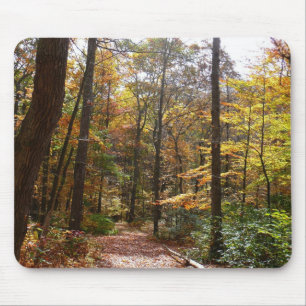 Mousepad Sunlit Fall Trail no Parque Estadual de Laurel Hil