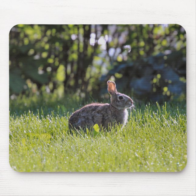 Mousepad Sunny Bunny (Frente)