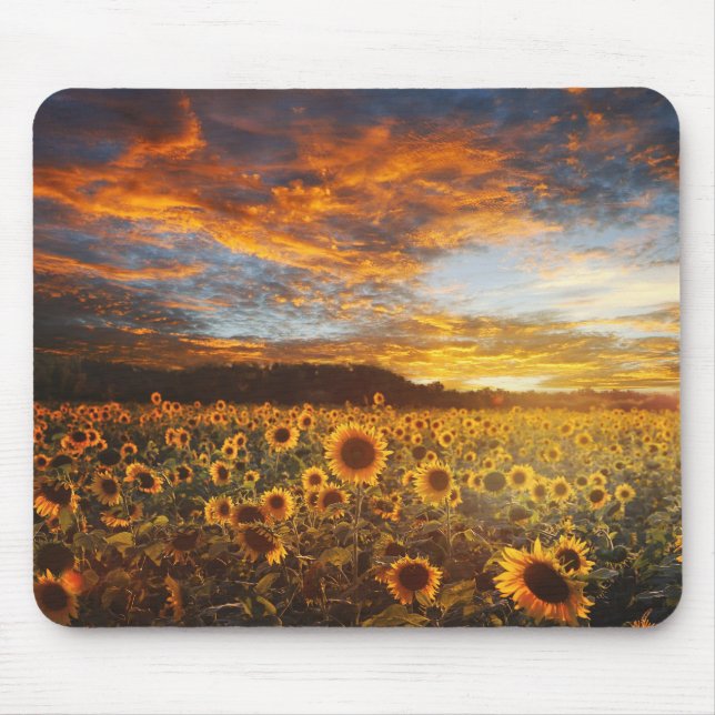 Mousepad Sunset SunflowerField (Frente)