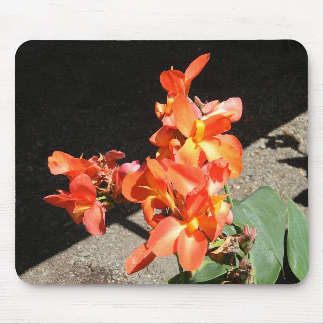 Mousepad Sunshine Love... (Frente)