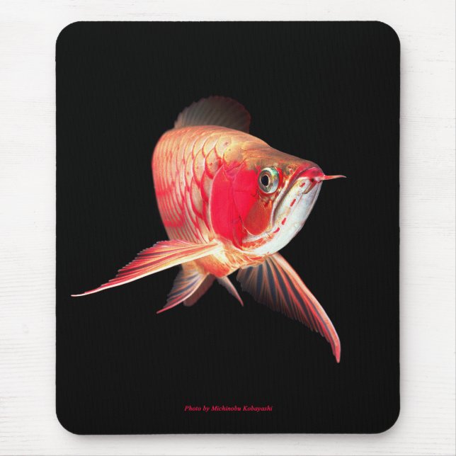 Mousepad Super Red Arowana (Frente)