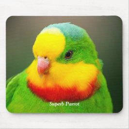 Mousepad Superb Parrot