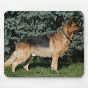 Mousepad Suporte da mostra do german shepherd