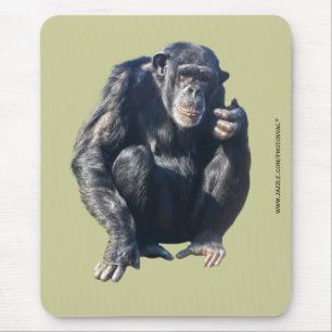 Mousepad Suporte de Mouse Chimpanzé