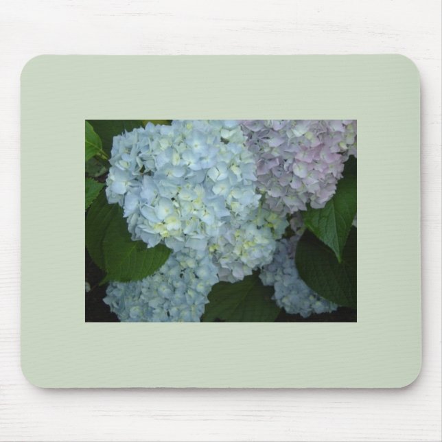 Mousepad Suporte de mouse com Hortênsias em flor (Frente)