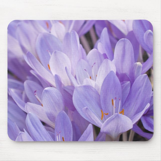 Mousepad Suporte de Mouse Crocus (Frente)