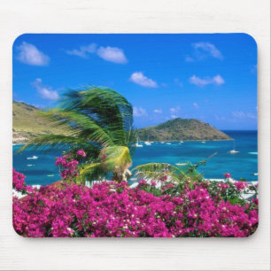 Mousepad Suporte de Mouse de Cena Tropical