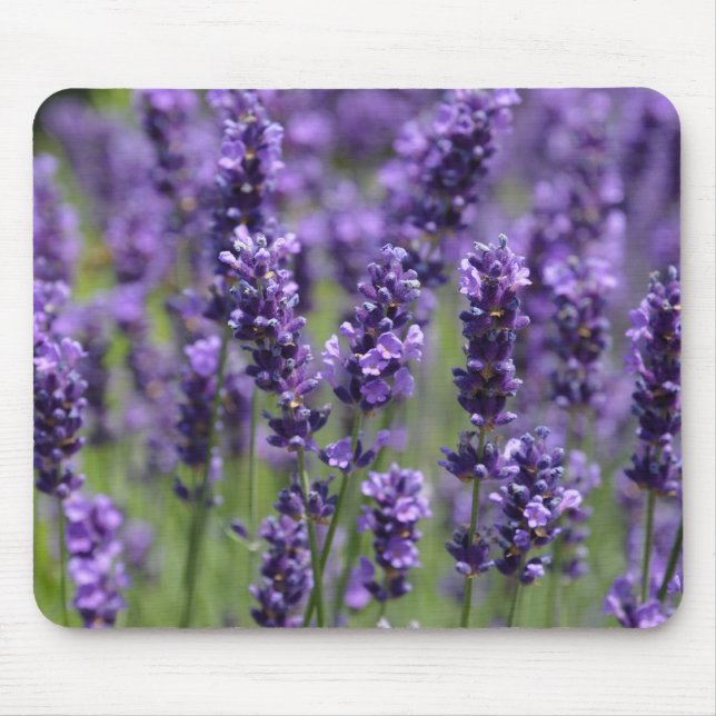 Mousepad suporte de mouse lavanda (Frente)