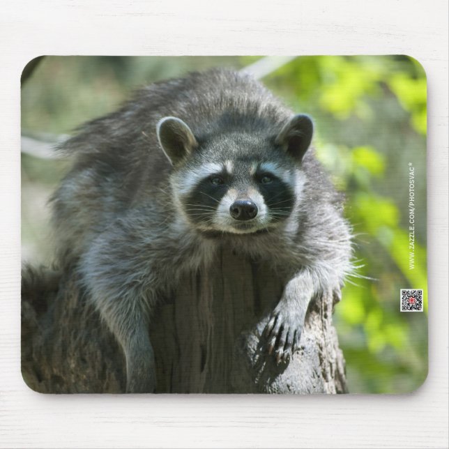 Mousepad Suporte de Mouse Mapache (Frente)