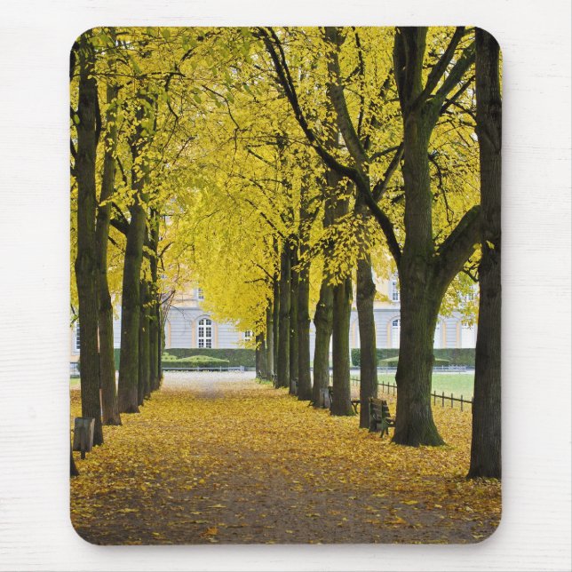 Mousepad Suporte de Mouse Outono (Frente)