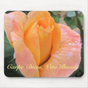 Mousepad Suporte de mouse--Rosa Laranja com Gotículas de Ch