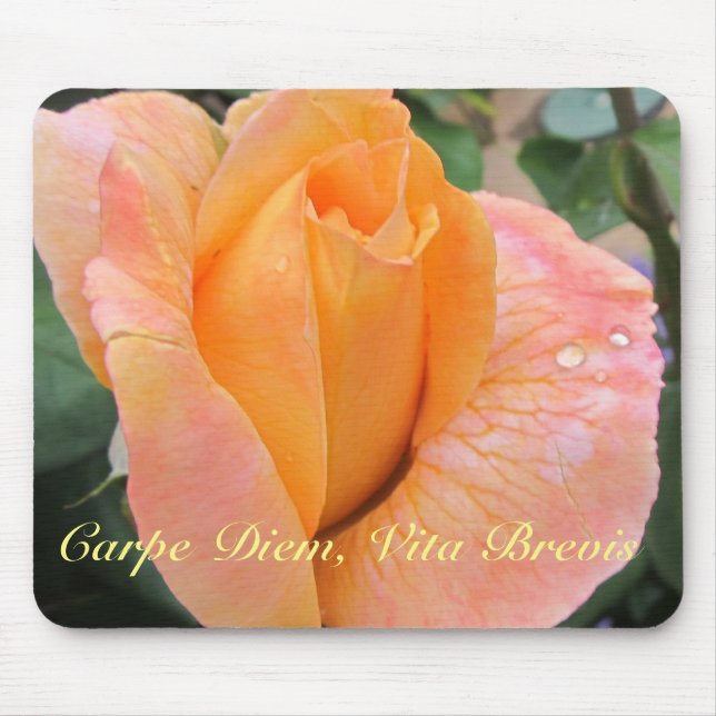 Mousepad Suporte de mouse--Rosa Laranja com Gotículas de Ch (Frente)