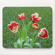 Suporte de mouse Tulipa