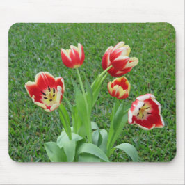 Mousepad Suporte de mouse Tulipa