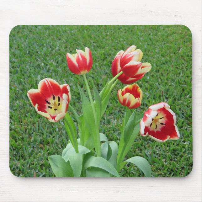 Mousepad Suporte de mouse Tulipa (Frente)