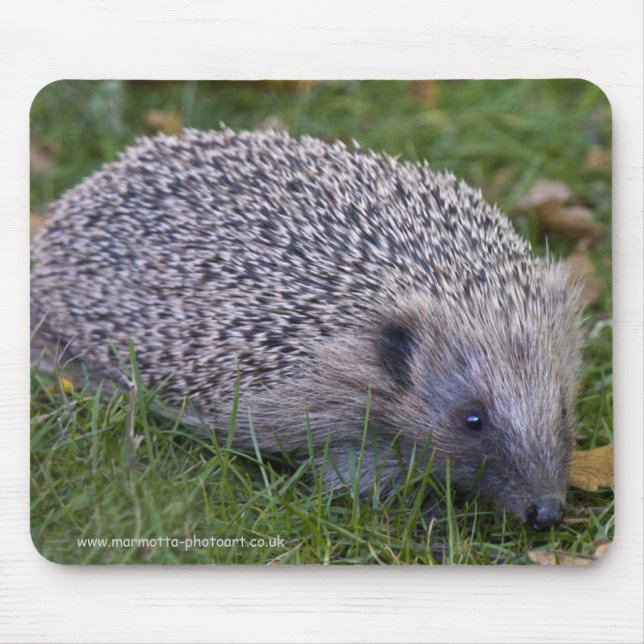 Mousepad Suporte de Rato Espinhoso (Frente)