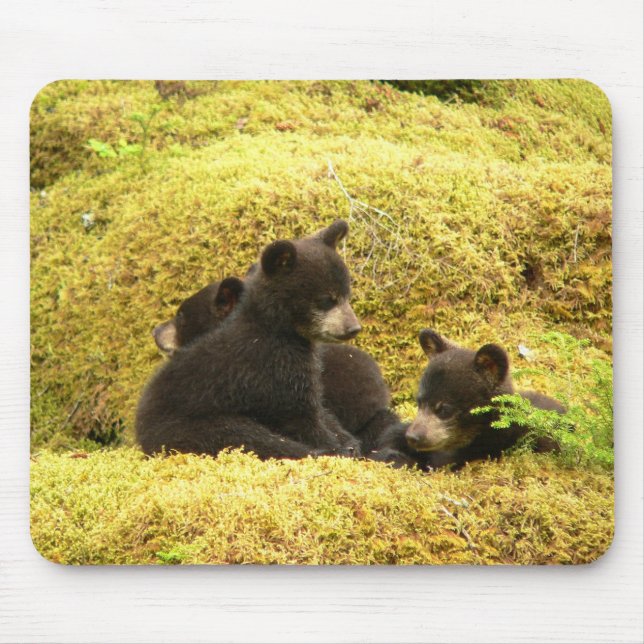 Mousepad Suporte de Rato Ursinhos Pretos (Frente)