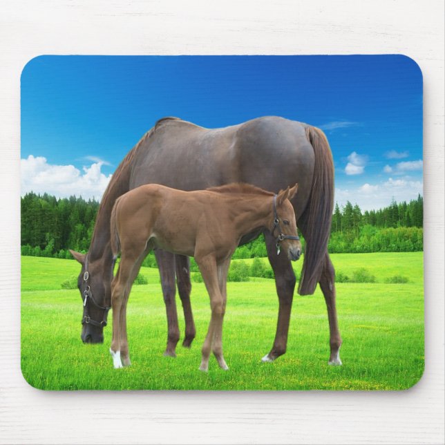 Mousepad Suporte do mouse (Frente)