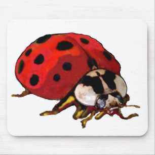 Mousepad Suporte do mouse do computador