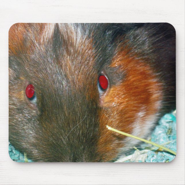 Mousepad Suporte do mouse Hamster (Frente)