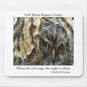 Mousepad Suporte do mouse OMRC Screech Owen