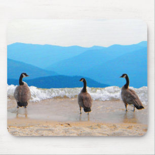 Mousepad Surf! - Gansos