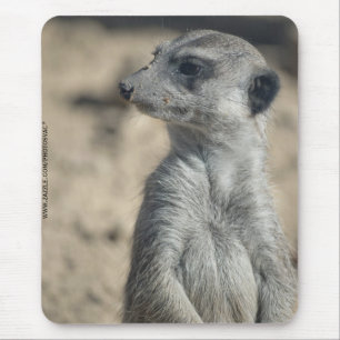 Mousepad Suricata engraçada