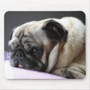 Mousepad Surrupias Carlin Pug